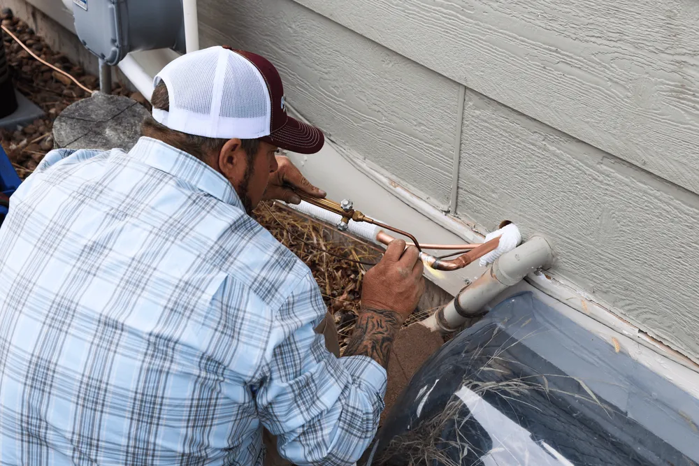 Slide of Polar Bear Mechanical