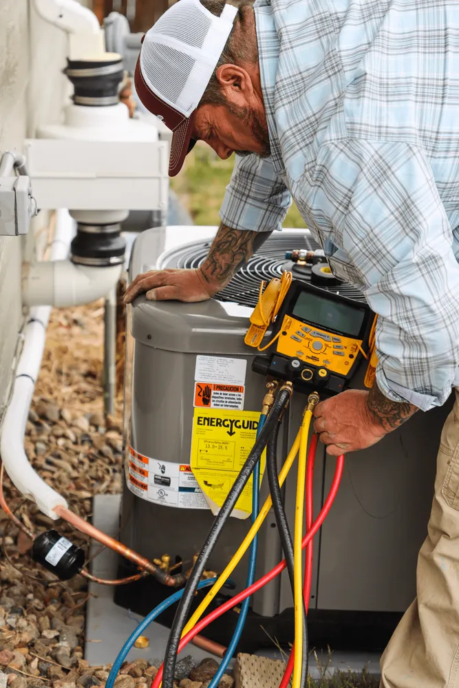 Slide of Polar Bear Mechanical