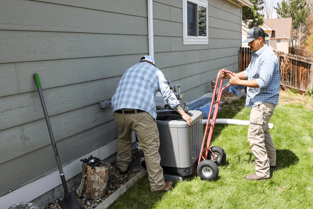Slide of Polar Bear Mechanical