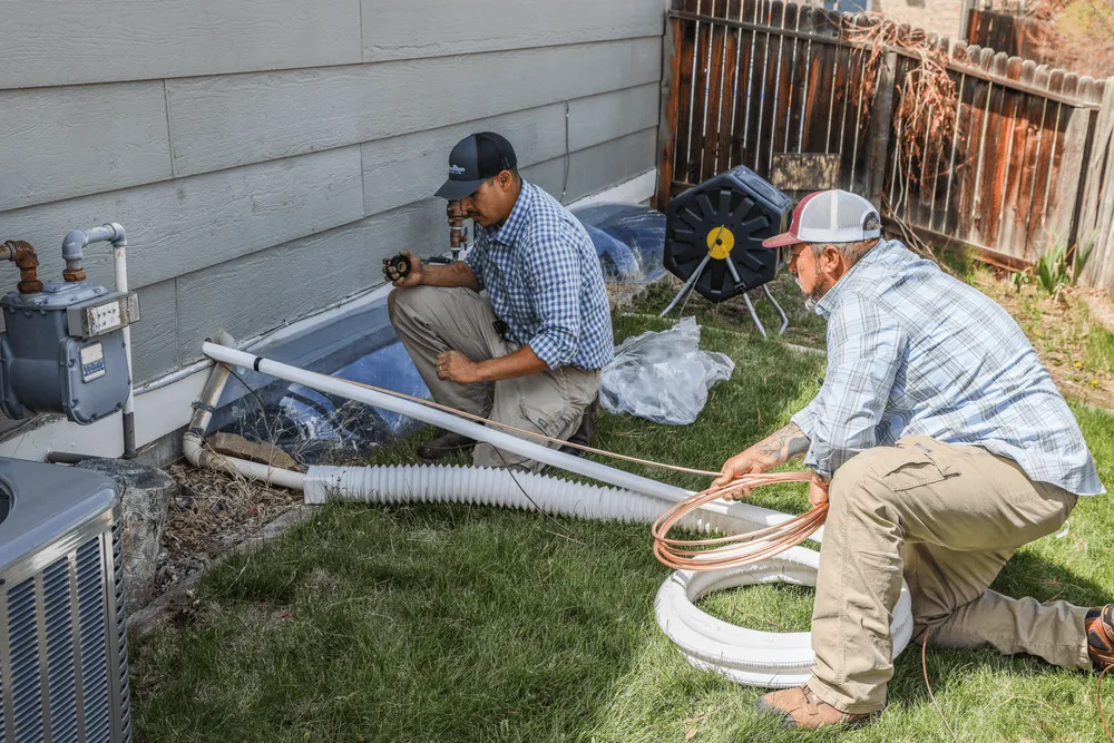 Slide of Polar Bear Mechanical