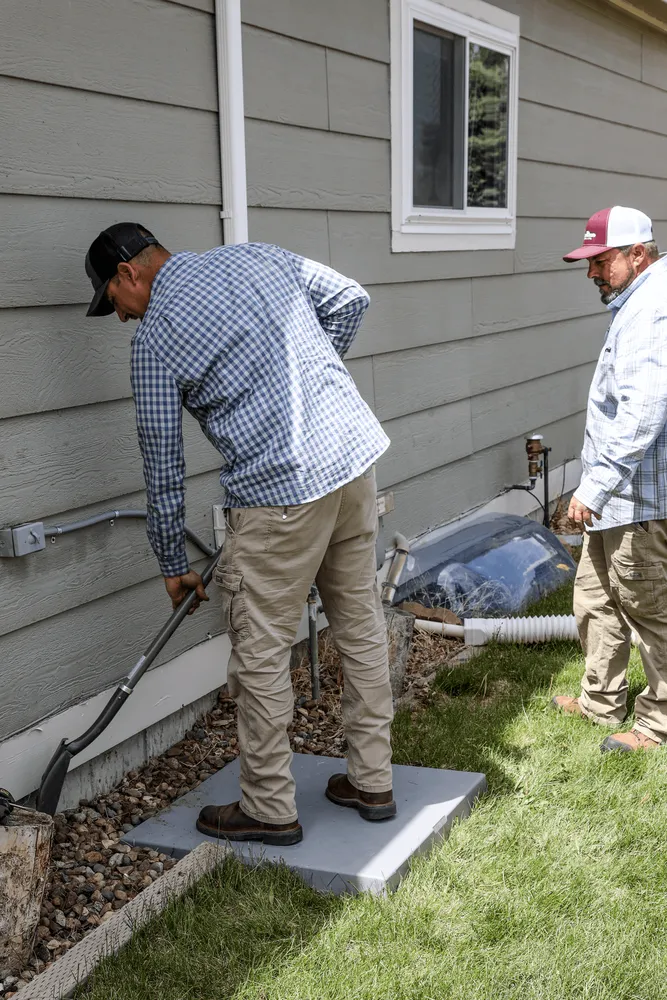 Slide of Polar Bear Mechanical