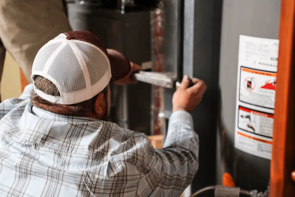 Slide of Polar Bear Mechanical