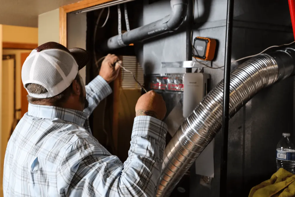 Slide of Polar Bear Mechanical