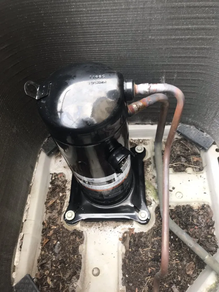 Slide of Polar king Services