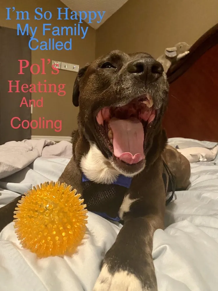 Slide of Pol’s Heating and Cooling