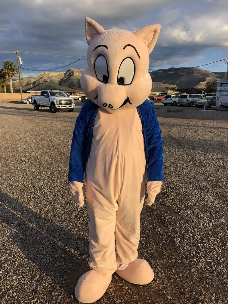 Slide of Porky's Heating & Cooling