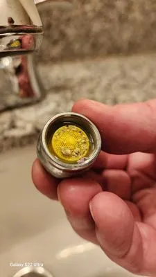 Pound Of Prevention Services Logo