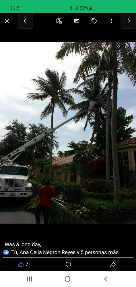 Slide of Practicallity Management Group