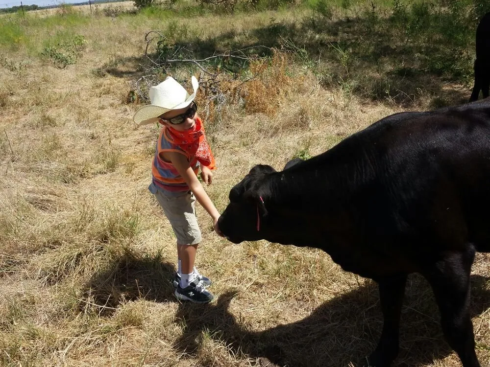 Slide of Prado Services