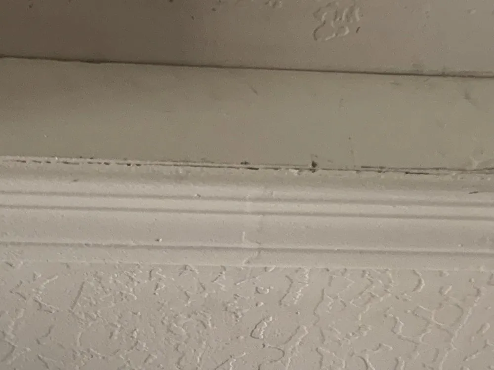 Slide of Precision Air & Plumbing