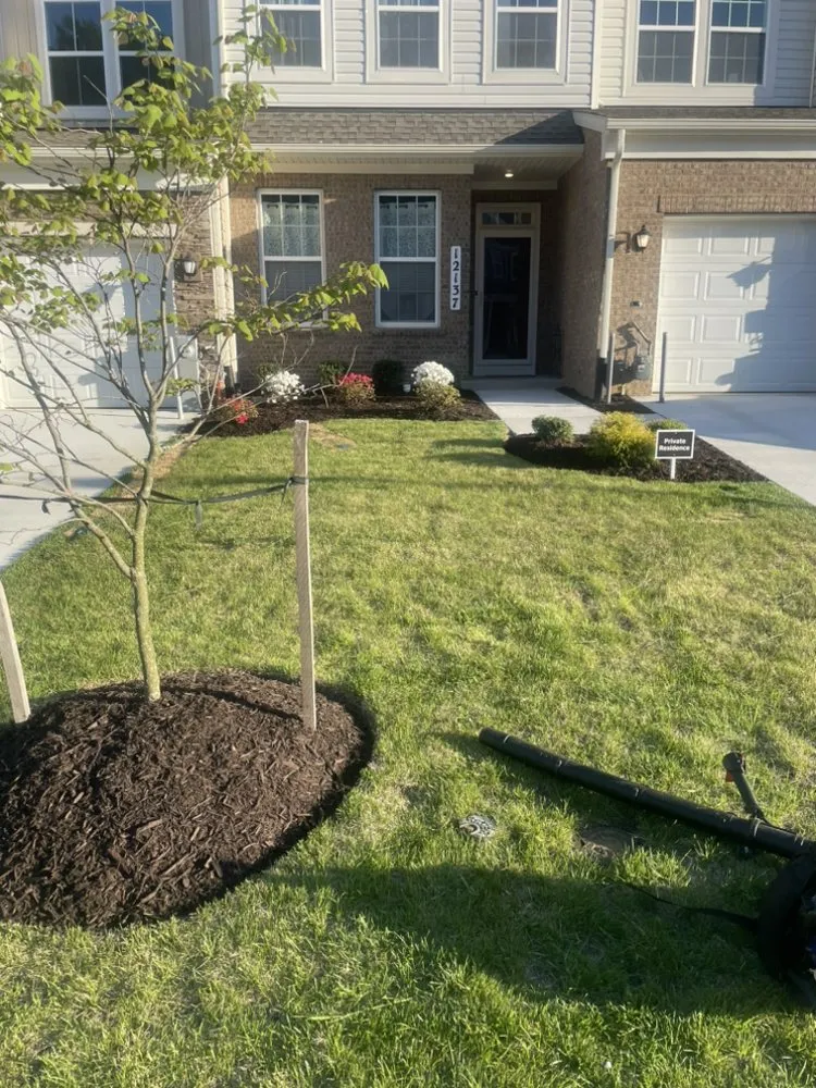 Slide of Precision Home Reno