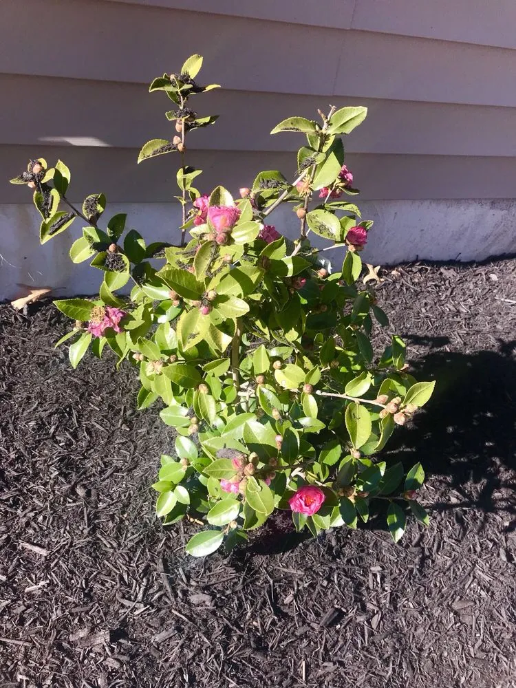 Slide of Precision Home Reno