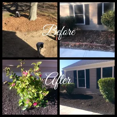 Precision Home Reno Logo