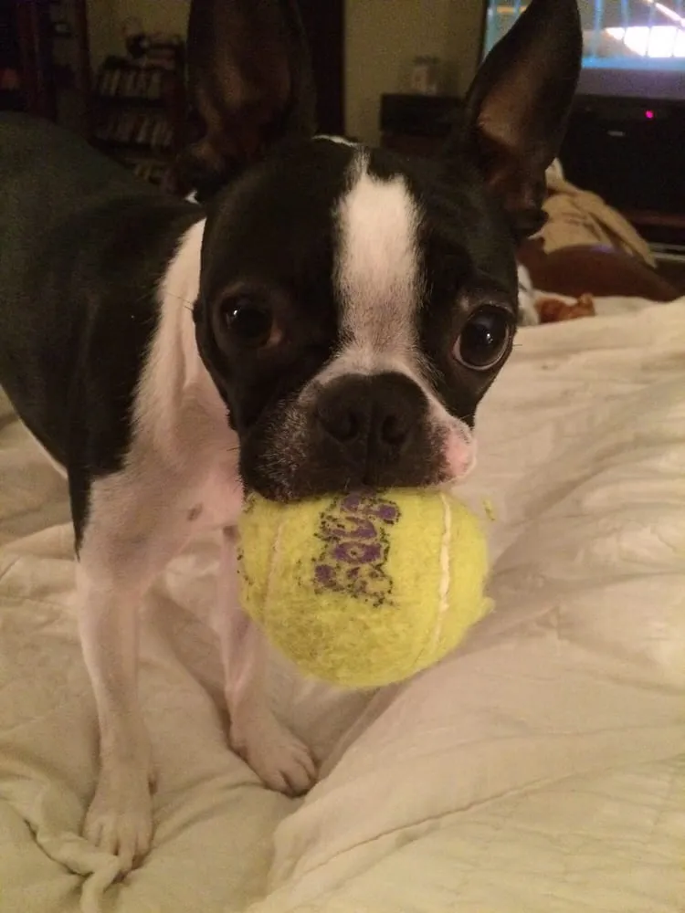 Slide of Precision Mechanical