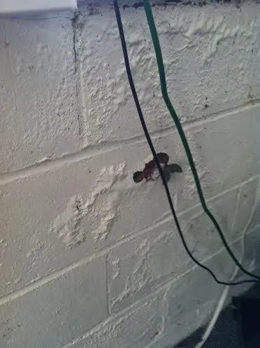 Slide of Preferred Environmental Solutions, LLC