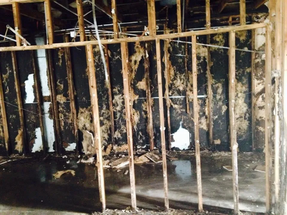 Slide of Preferred Environmental Solutions, LLC