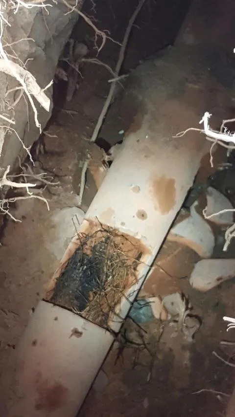 Slide of Preferred Plumbing 911