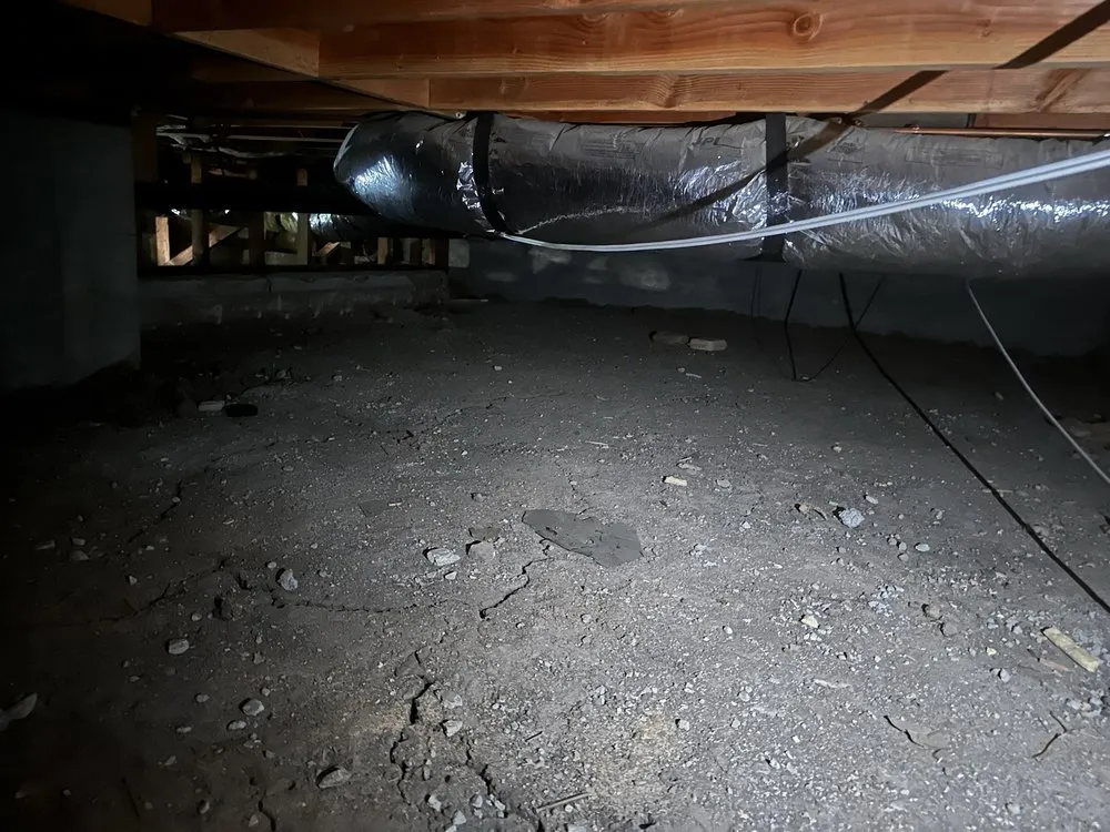 Slide of Premier Eco Builders