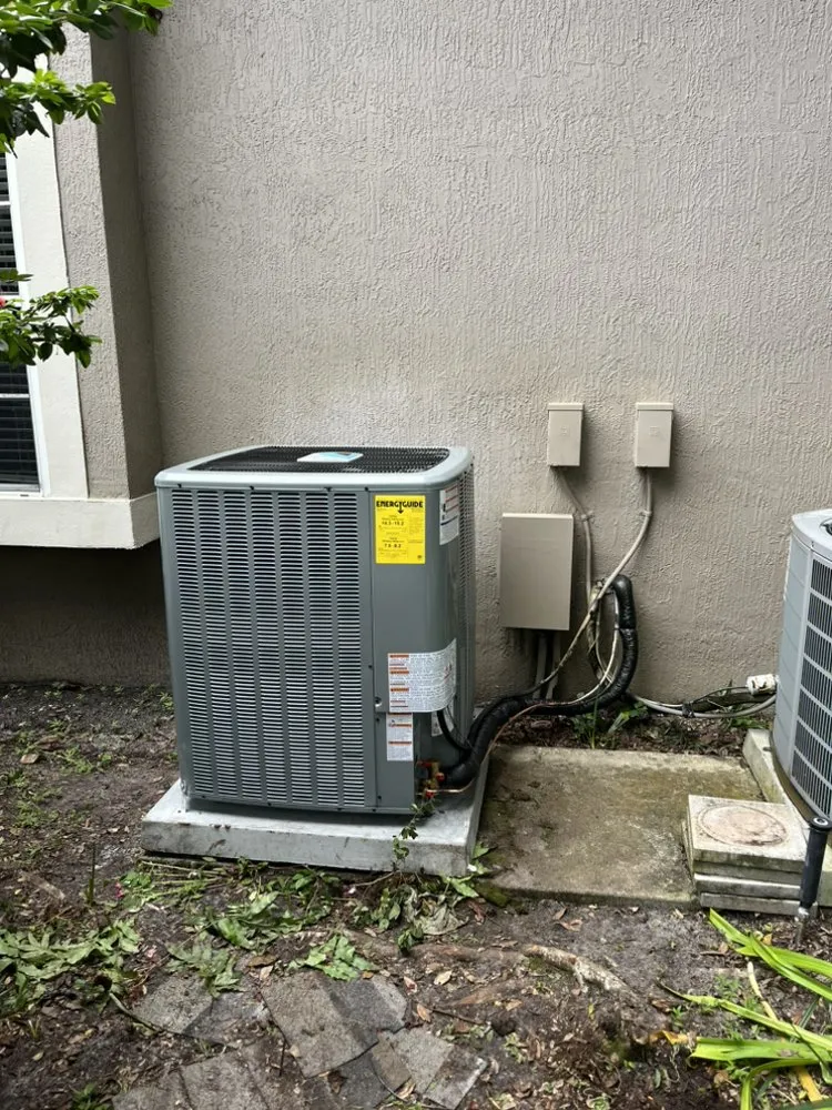 Slide of Premier Frost