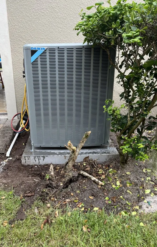 Slide of Premier Frost