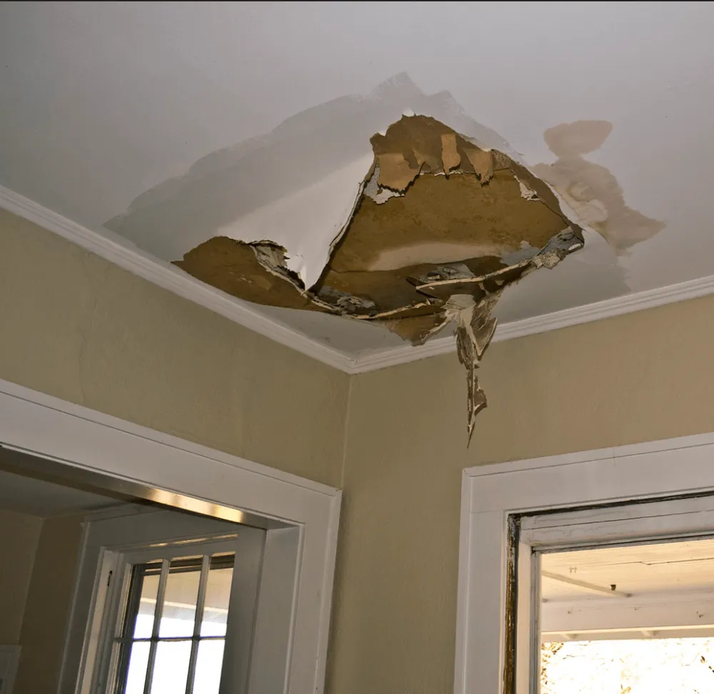 Slide of Premier Maintenance RGV