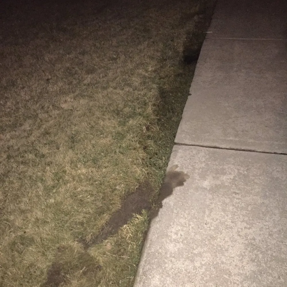 Slide of President Air Comfort