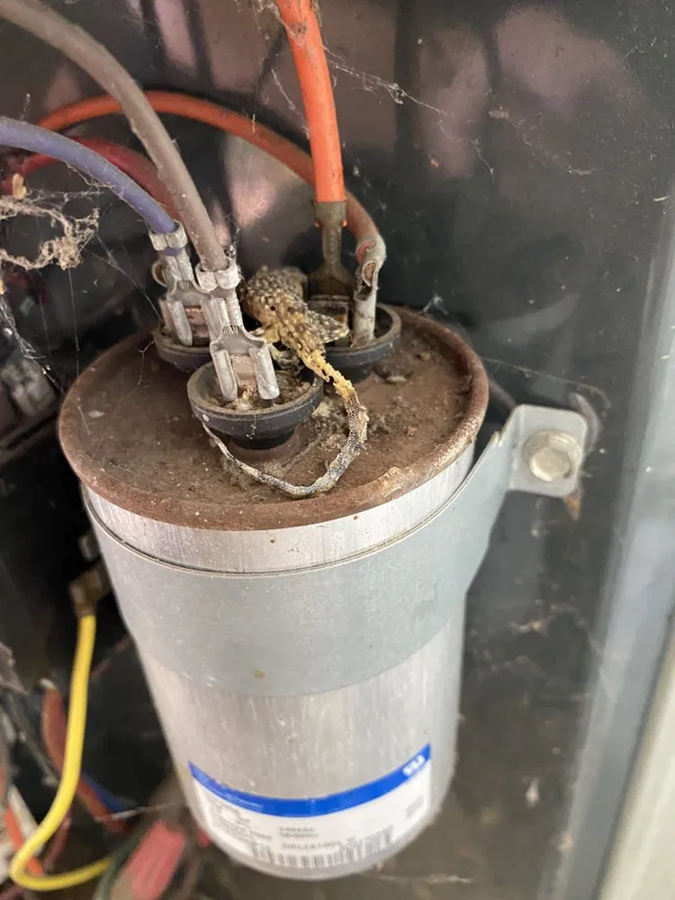 Slide of Prestige Air