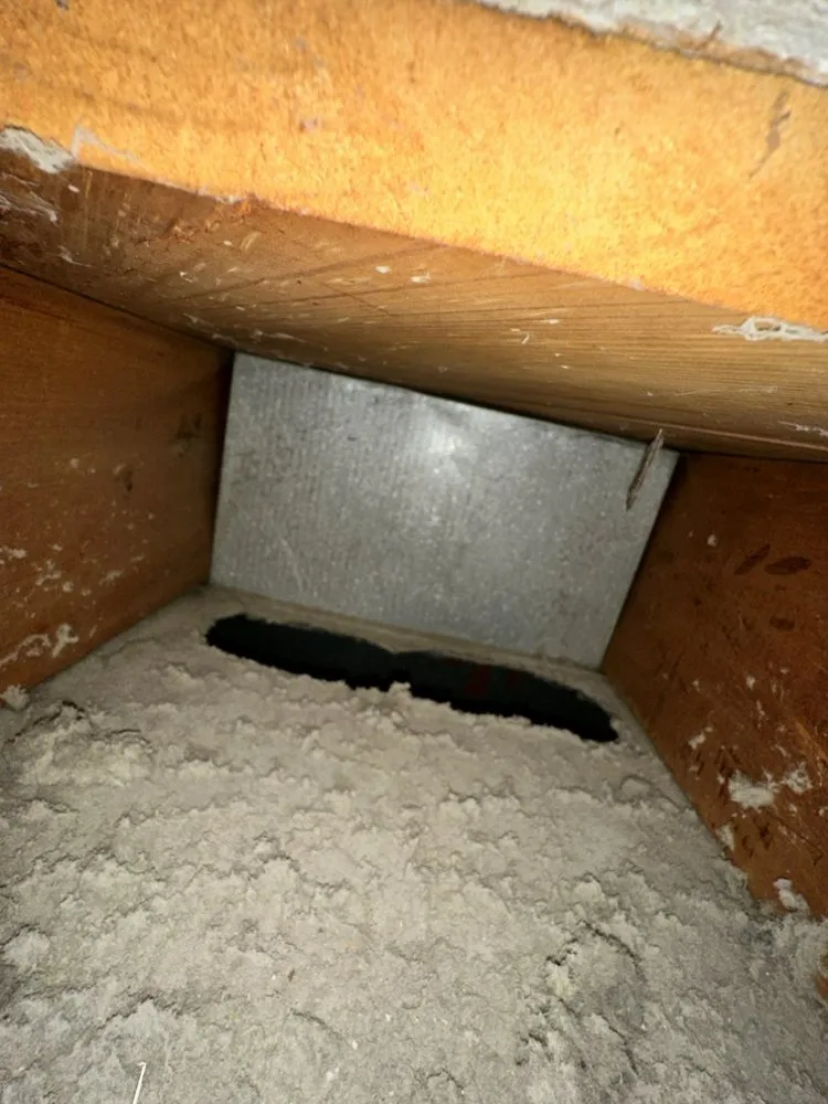 Slide of Prestige HPE