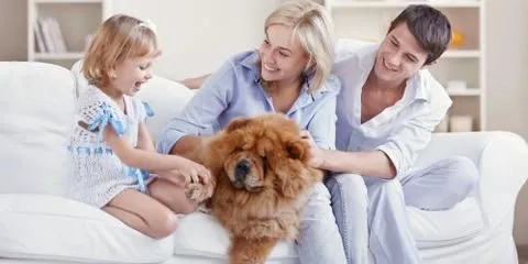 Slide of Preston Reeves Heating & Air Conditioning