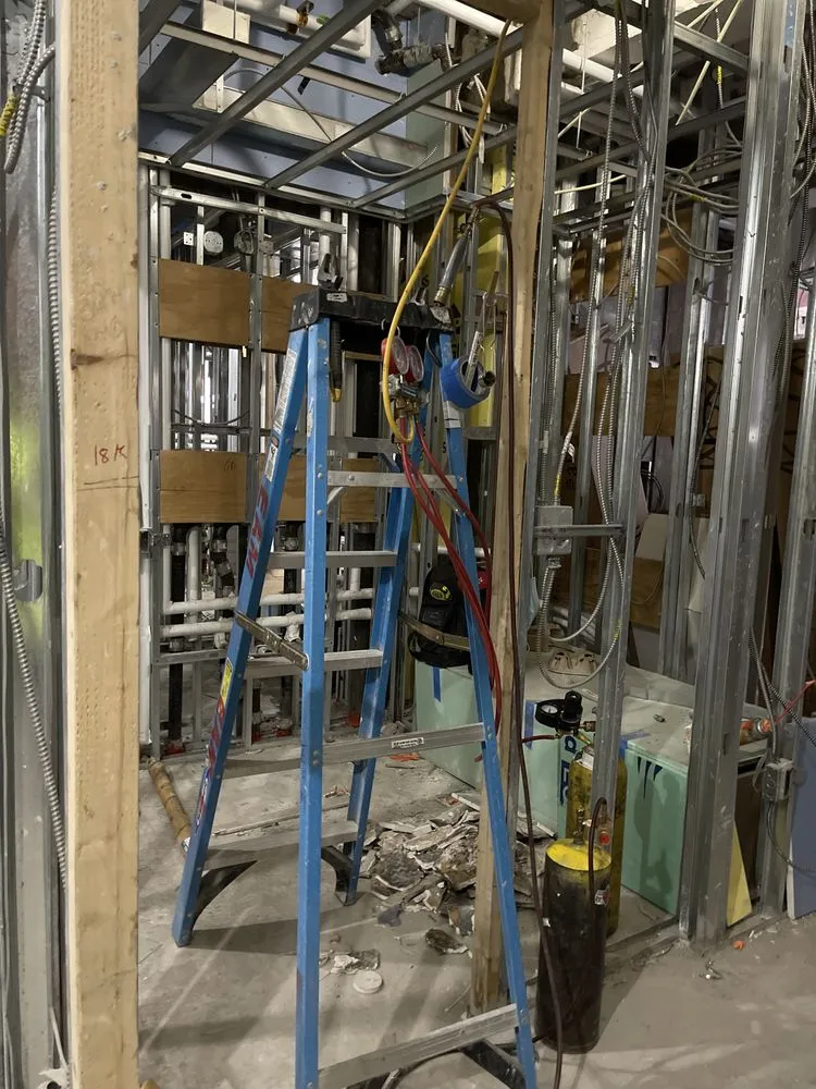 Slide of Primary Mechanical