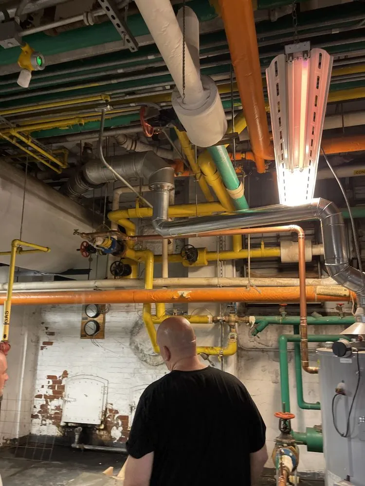 Slide of Primary Mechanical