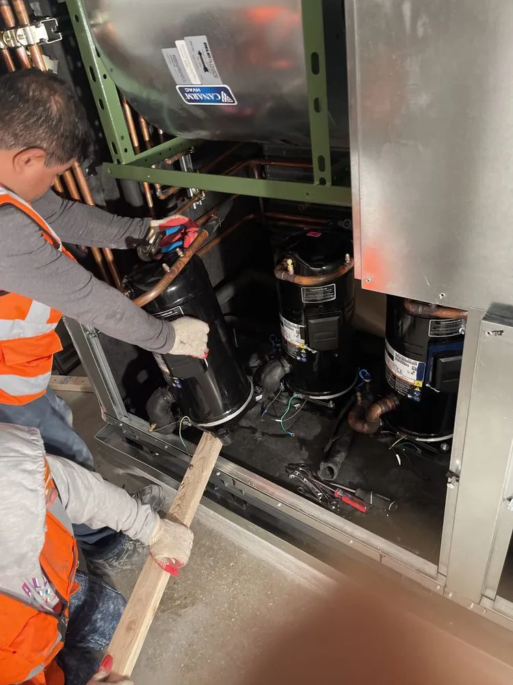 Slide of Primary Mechanical