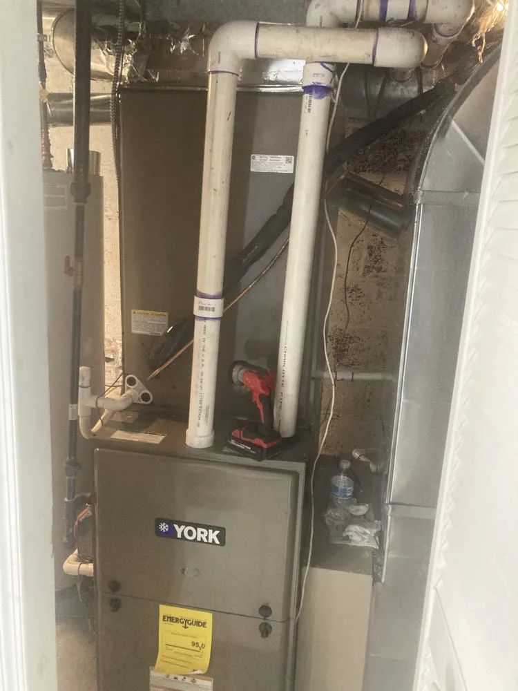 Slide of Primary Mechanical