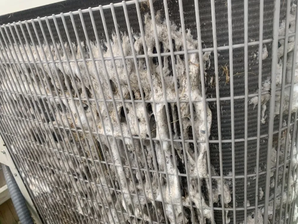 Slide of Prime Contract Services