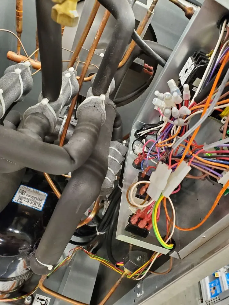 Slide of Prime Genius