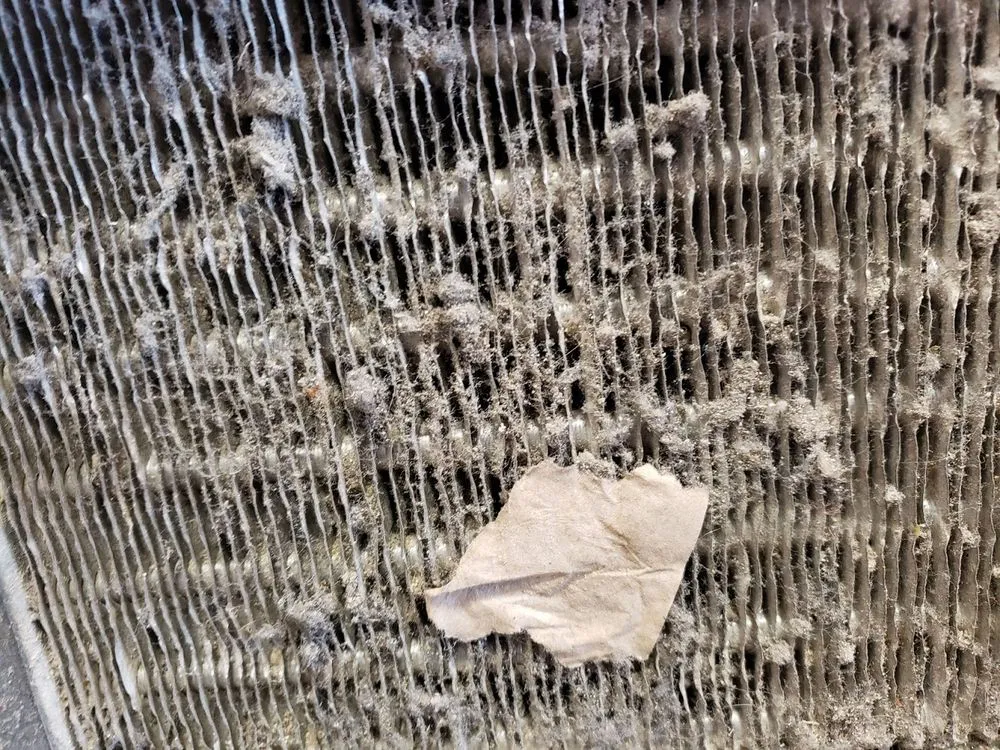 Slide of Prime Genius