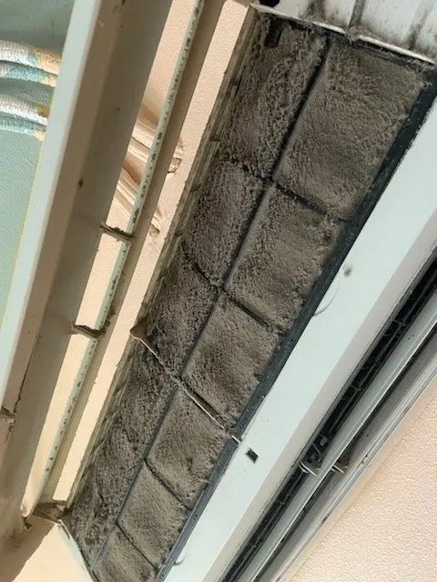 Slide of Primo Commercial & Residential Services