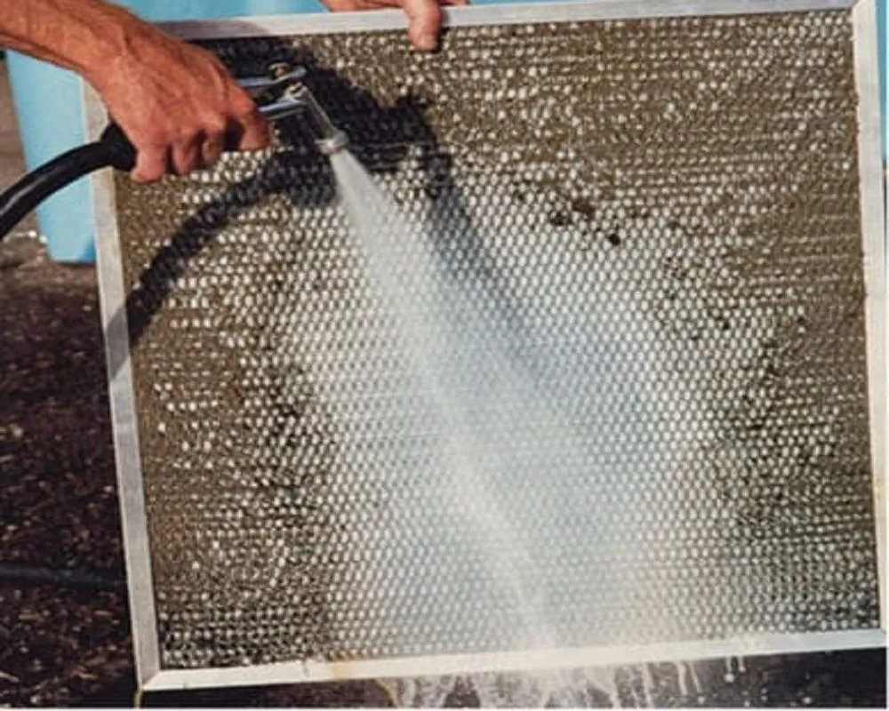 Slide of Prince Ton Clean