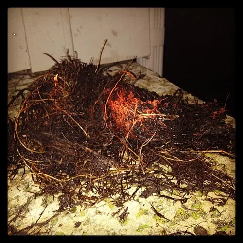 Slide of Priority Plumbing and Heating - Northern Colorado