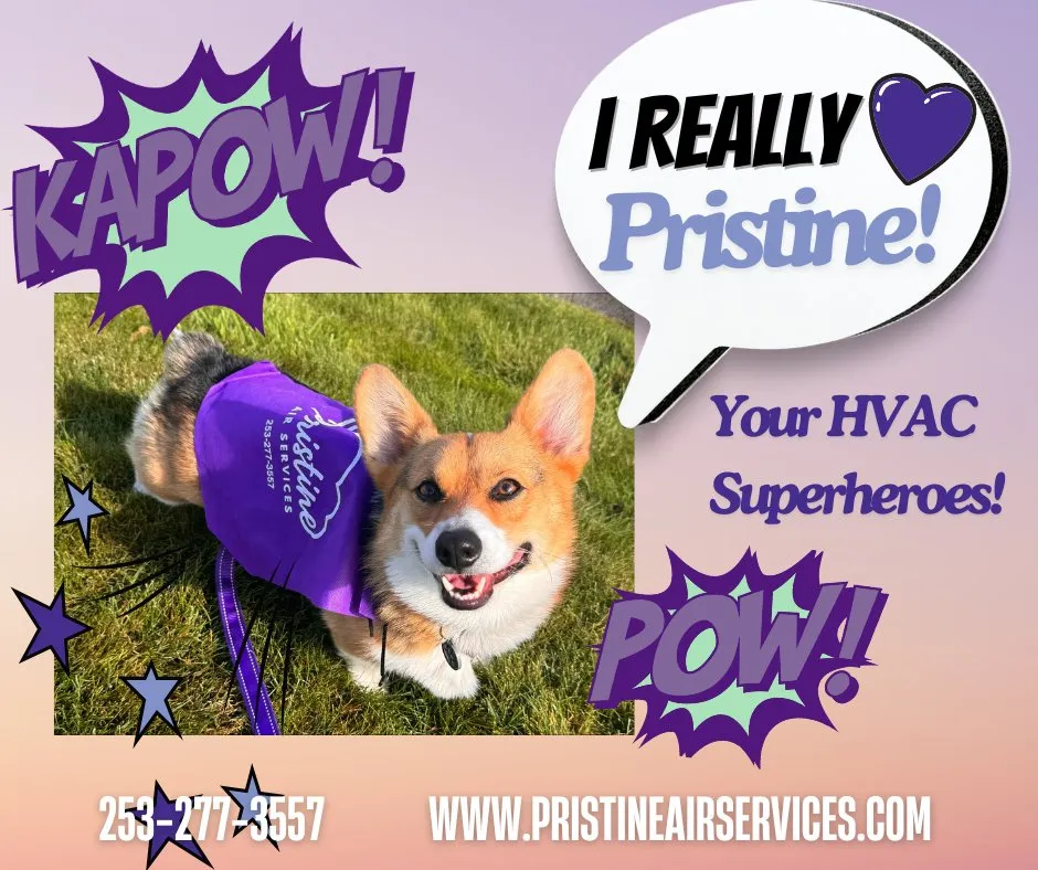 Slide of Pristine Air Services