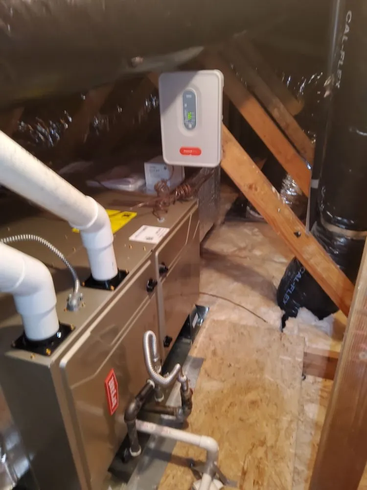 Slide of Pro Attic Restoration