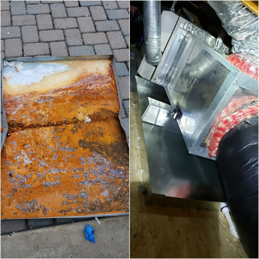 Slide of Pro Attic Restoration