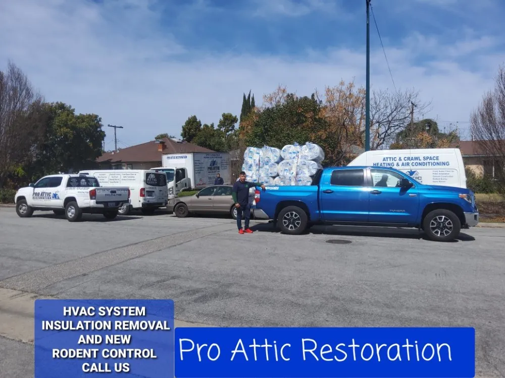 Slide of Pro Attic Restoration