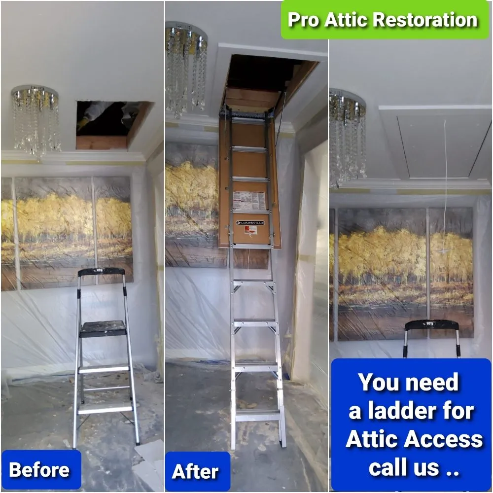 Slide of Pro Attic Restoration