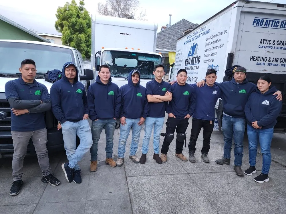 Slide of Pro Attic Restoration