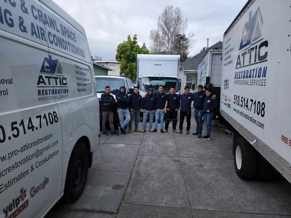 Slide of Pro Attic Restoration