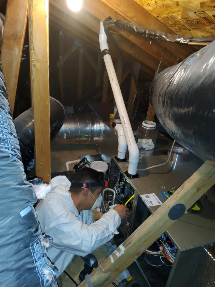 Slide of Pro Attic Restoration Inc