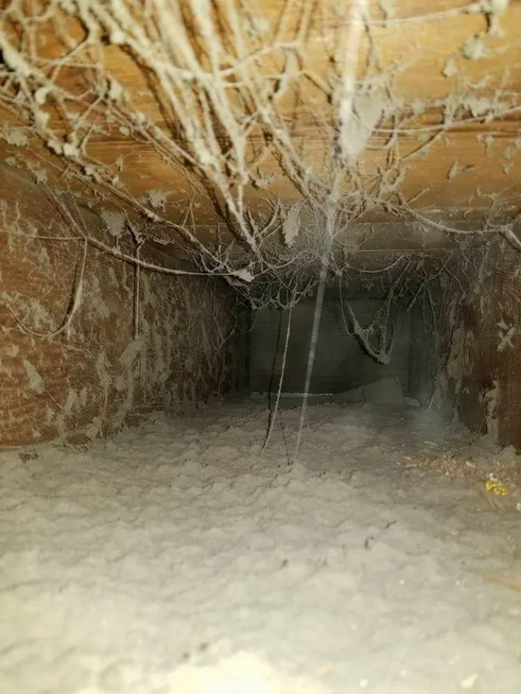 Slide of Pro-Duct Cleaning Services