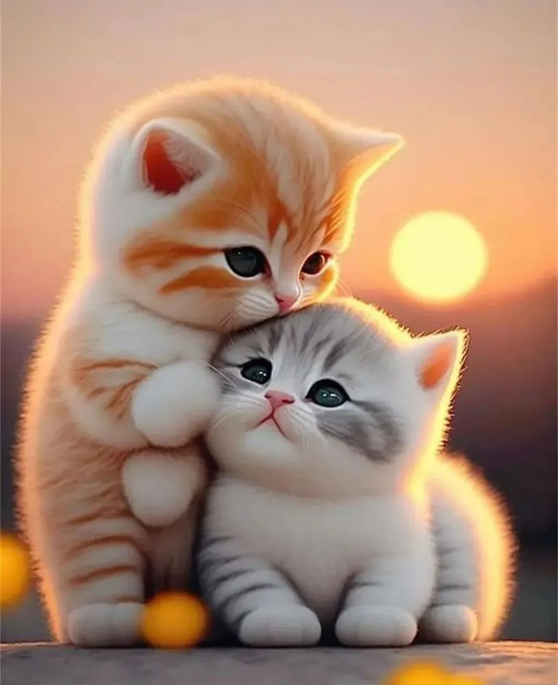 Slide of Pro Edge Services and Training