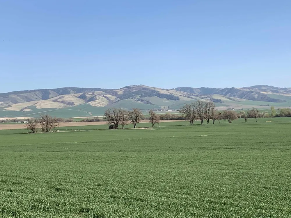 Slide of Pro Heating & Air Conditioning